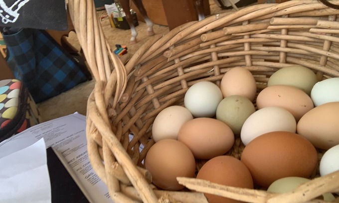 Motueka Apartamento | Cerca de Motueka, Kaiteriteri y Abel Tasman National Park