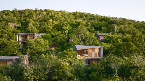 Mazunte Hotel | Cocolia Hotel