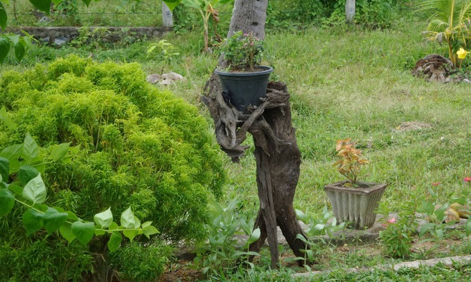 Panduwasnuwara Hotel | CoCoWorld Bungalow