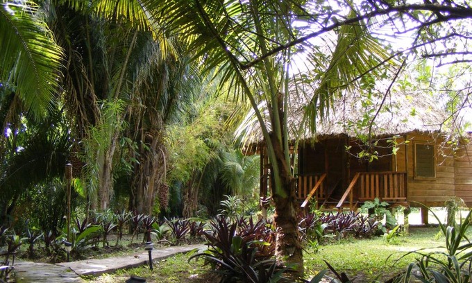 Bullet Tree Falls Complejo | Cohune Palms River Cabanas