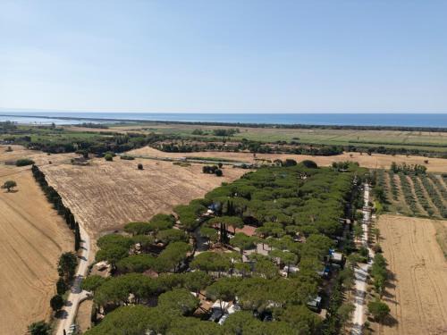 Capalbio Complejo | Costa D'Argento - Camping Village Club Capalbio