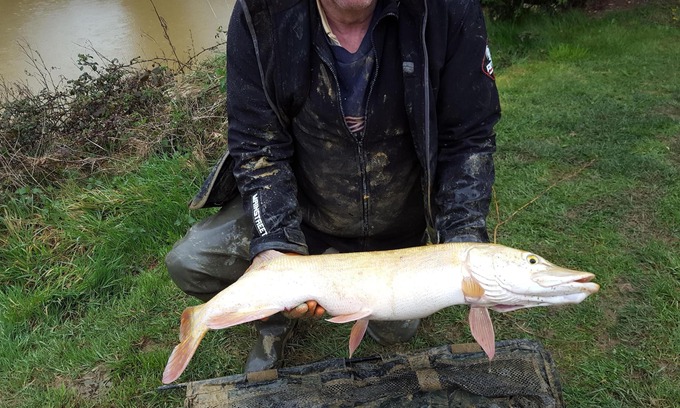 Saint-Aubin-des-Chateaux Cabaña | Cottage en Loire de Paye con piscina privada y lagos de pesca