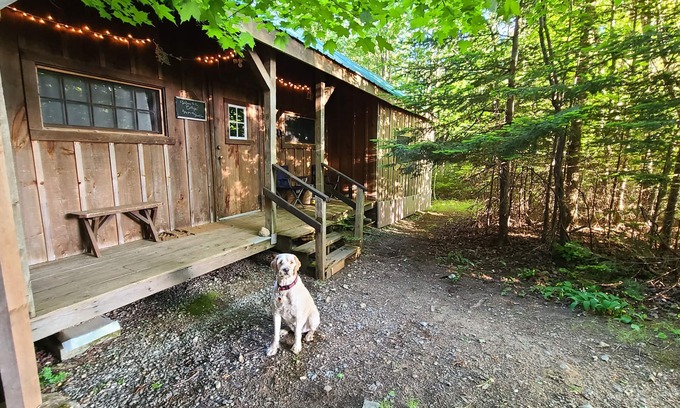 Jamaica Cabaña | Cottage 7min to Ski Stratton-Wood Stove,Starry Skies,Fire Pit,Views,Dogs OK