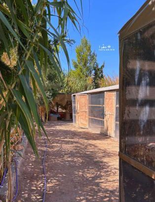 Wadi Musa Cabina | Country cottage