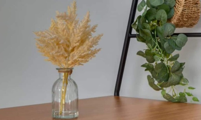 Connaught Apartamento | *Cozy* 1 Bdrm Apt In DT Calgary!