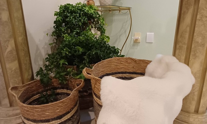 Pomerode Casa | Cozy 3-bedroom house in downtown Pomerode - Guesthouse - Accommodation