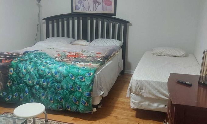 Newark Apartamento | Cozy Apartment near UMDJ, EWR, NYC, Prudential Hotels, NJIT