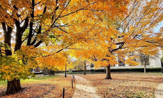 Lemont Casa | Cozy Cape Cod - Minutes from Stadium. Family and Pet Friendly!