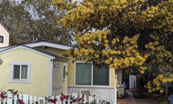 Baywood-Los Osos Casa | Cozy Cottage in Quiet Community.