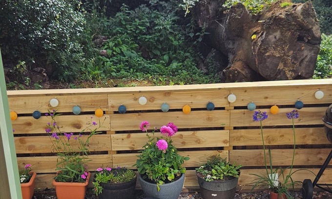 Northampton Cabina | Cozy Dog Friendly Shepherd's Hut in Northampton