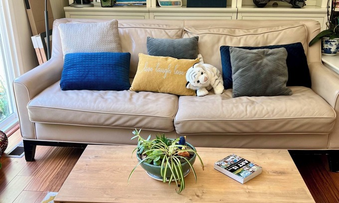 Orinda Casa | cozy home in serene town of orinda