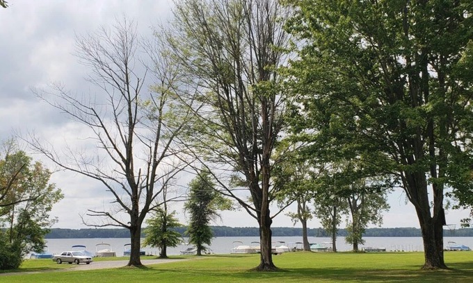 Westford Apartamento | Acogedor frente al lago en Pymatuning con muelle