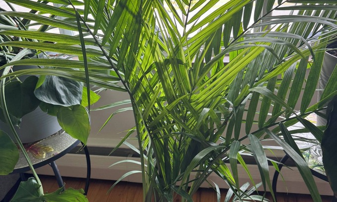 Dicken Apartamento | Cozy loft style apartment