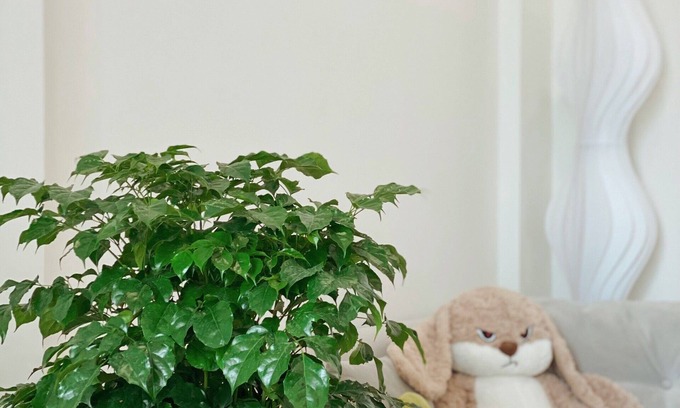 Tu Liem Apartamento | Cozy studio in pleasant Hà Nội with WiFi, AC