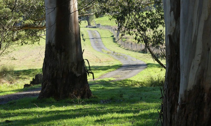 Yellingbo Cabaña | Creekside Cottage country escape, Rumbellara Farm
