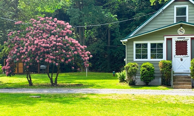 Catawissa Cabaña | Creekside Cottage Next to Knoebels Amusement Resort. Large Yard, Fire Pit, Patio