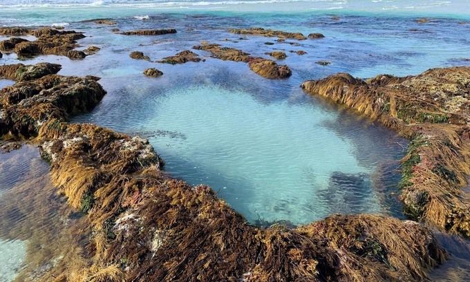 Newland Cabaña | Currawong Cottage Vivonne Bay