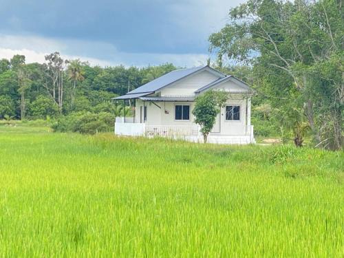 Tumpat Casa | D'Bendang Homestay