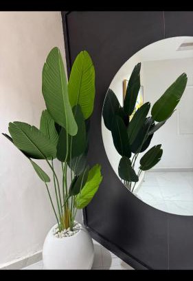 Benin City Apartamento | D5 future homes hotel & apartment