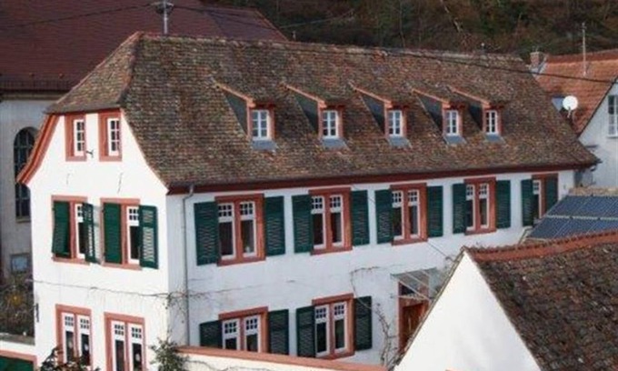 Neustadt-Konigsbach Apartamento | Das Hirschhorner Weindomizil - Fewo, Dusche und Bad, WC, Deluxe