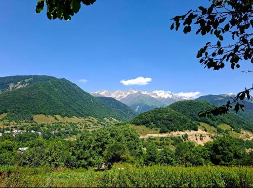 Ghebi Cama Y Desayuno | Datucha's guesthouse