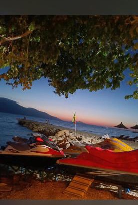 Radhime Alquiler De Eote | Dejvi Jet Ski