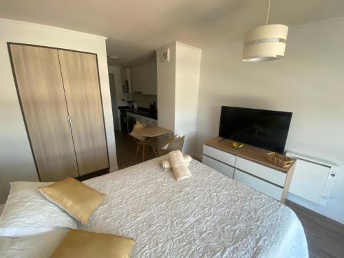 Valdivia Apartamento | Departamento Studio Isla Teja