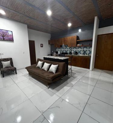 Chapala Centro Apartamento | Departamentos colibri y tortuga