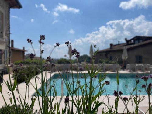 Soiano del Lago Apartamento | Dimora del Torchio