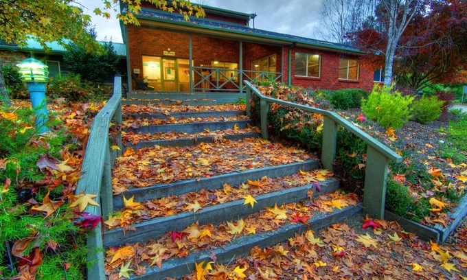 Freeburgh Cabina | Discovery Parks - Bright