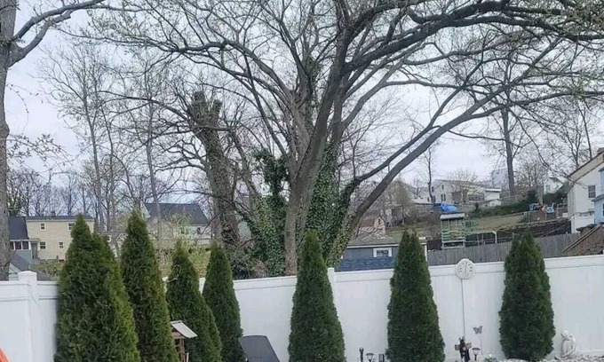 Hyattsville Casa | DMV Maryland, Washington DC FAMILY HOME