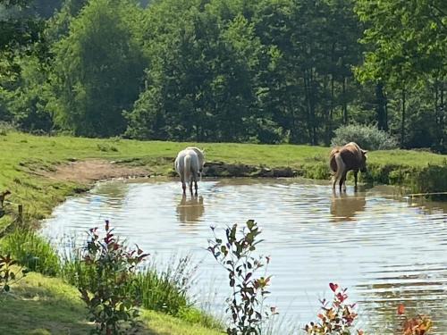 Saint-Germain-les-Vergnes Casa | Domaine De Domingeal Meublé de Tourisme 3 étoiles