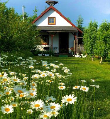 Dobrcz Casa | Domek przy Azylu Bocianim