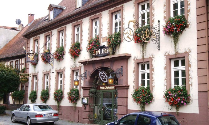 Michelstadt Hotel | Habitación Doble, Habitación 4 - Hotel-Restaurant Drei Hasen