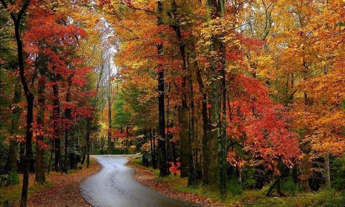 Pigeon Forge Cabina | 🍁2 King Master Suites, ARCADE, ubicación PRIME, fácil acceso, Dollywood 6 millas🍁