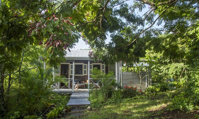 John Hughes Cabina | Cabaña ecológica en el remoto bosque caribeño
