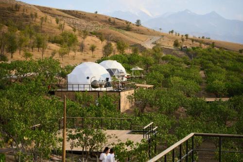 Chuy Province Hotel | EcoHouse Glamping by ART HOTEL