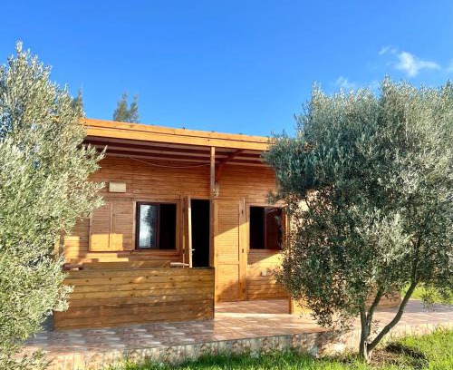 Fdalate Chalet De Esquí | Ecolodge Vert, Benslimane