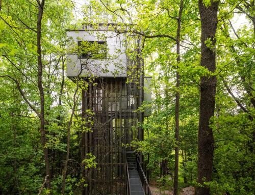 Schrems Cabina | edelførst Baumhäuser