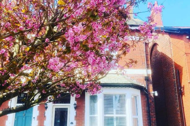 Lytham St. Anne's Cama Y Desayuno | Edwardian House
