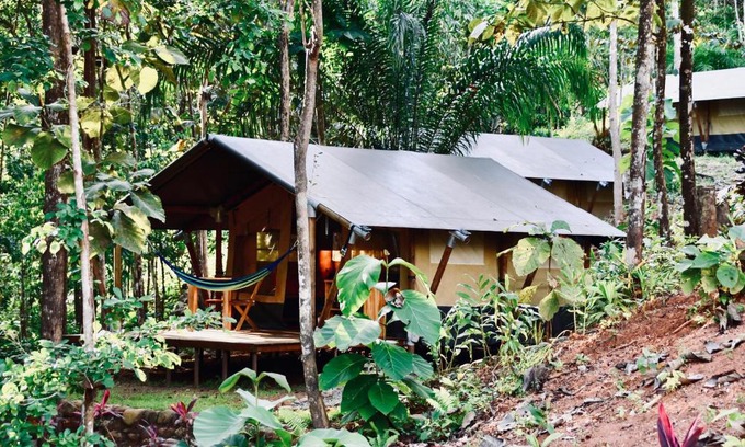 Punta Mala Cabina | El Pulpo Safari Lodge