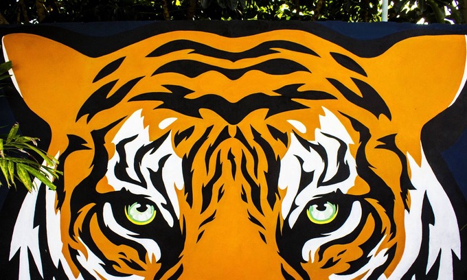 Barrio de Santiago Casa | El Tigre de Santiago