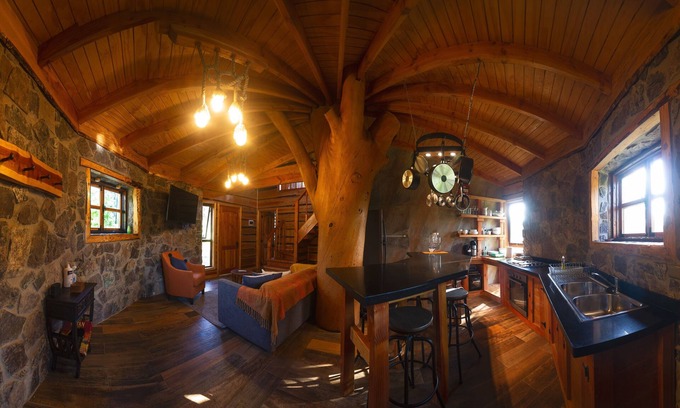 El Molle Cabaña | Encantadora Casa del Árbol en el Valle del Elqui!