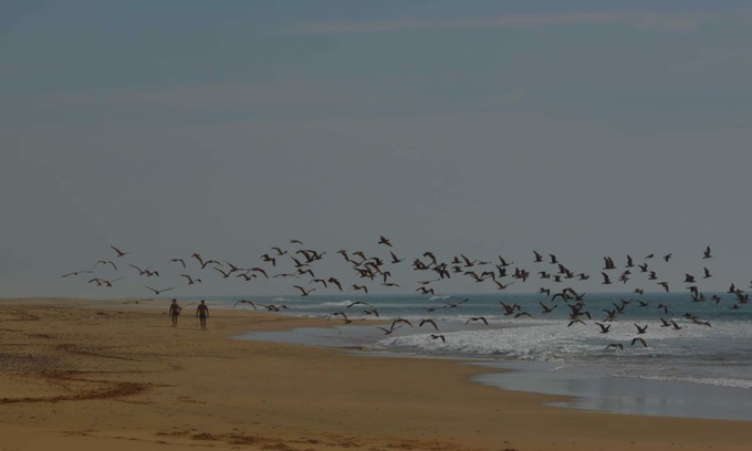 Sahel Chamali Cabaña | ASILAH rural, Mar Y Campo, Alojamiento entero (5-6personas)