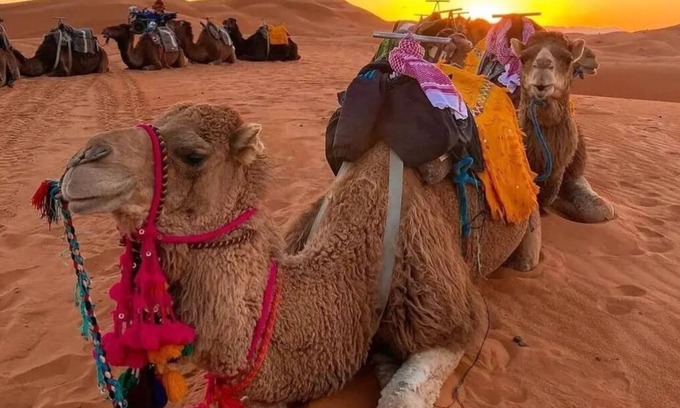 Taouz Cama Y Desayuno | Erg Chebbi Dunes Desert Camp