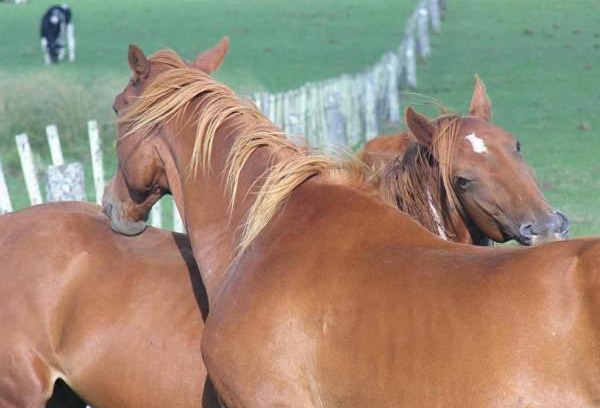 Florida Casa | Estancia Hosteria El Ceibo