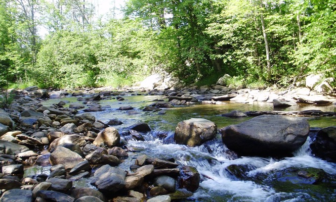 Weston Casa | Evergreen es un refugio ideal para familias, ubicado en Weston Vt.