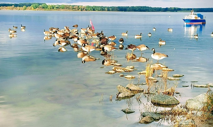 Devin Casa | Experience a wonderful time in the blue sun of Devin.