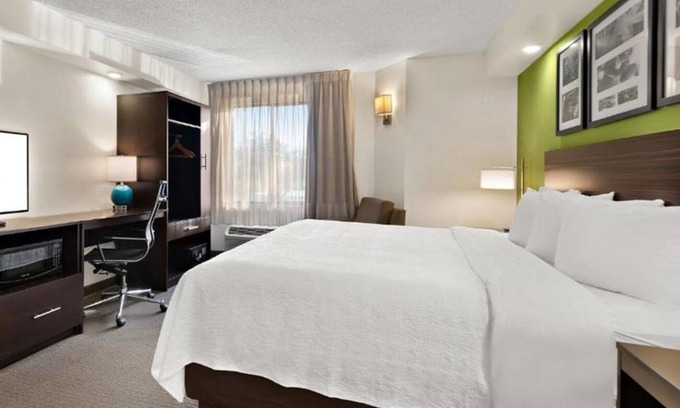 Wesley Chapel Hotel | Experience Comfort, Modern Room Near I-75 | Pool