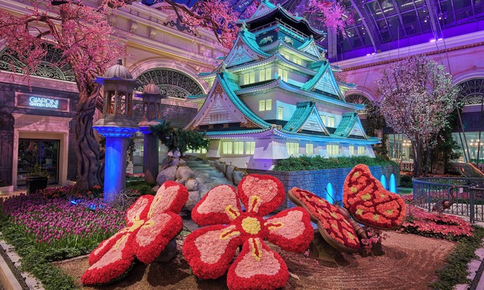 Las Vegas Hotel | Experience Vegas! Modern Suite! Outdoor Pool, OnSite Cafe!